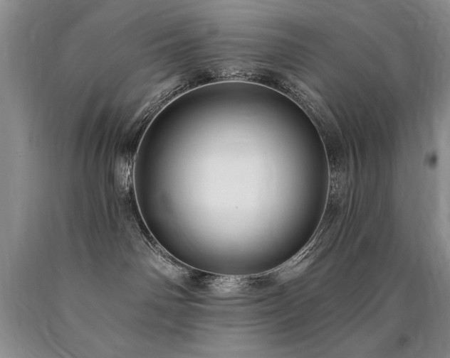 X0000090770142200707201446