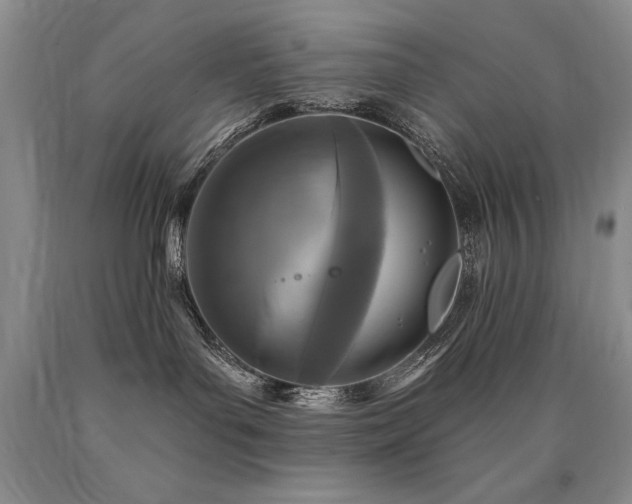 X0000090770143200707201446