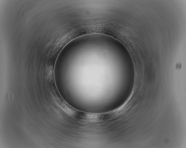 X0000090770144200707201446