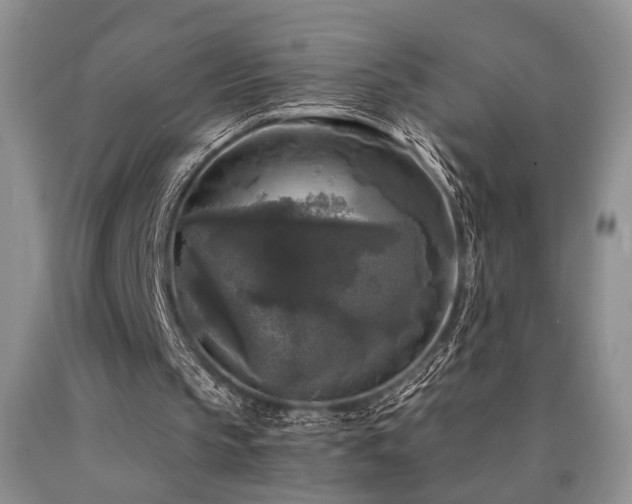 X0000090770145200707201446