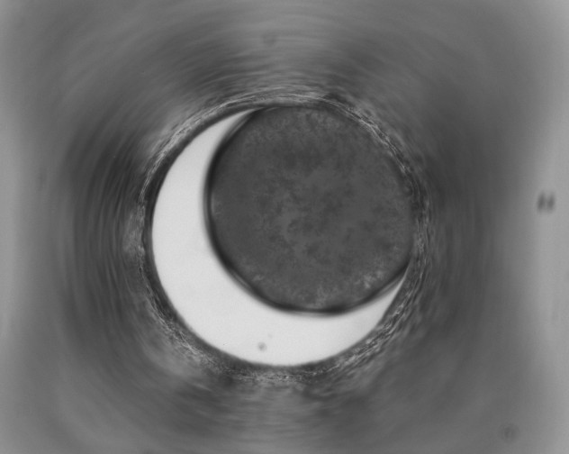X0000090770146200707201446