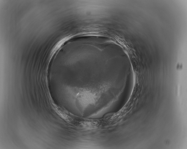 X0000090770147200707201446