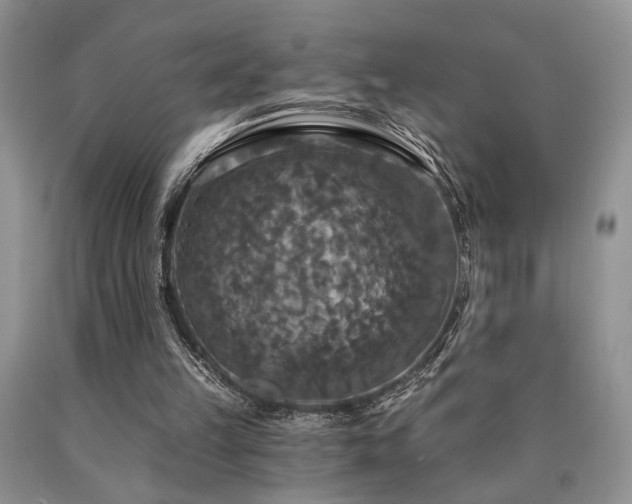 X0000090770149200707201446