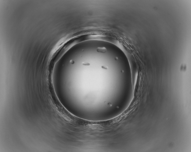 X0000090770150200707201446