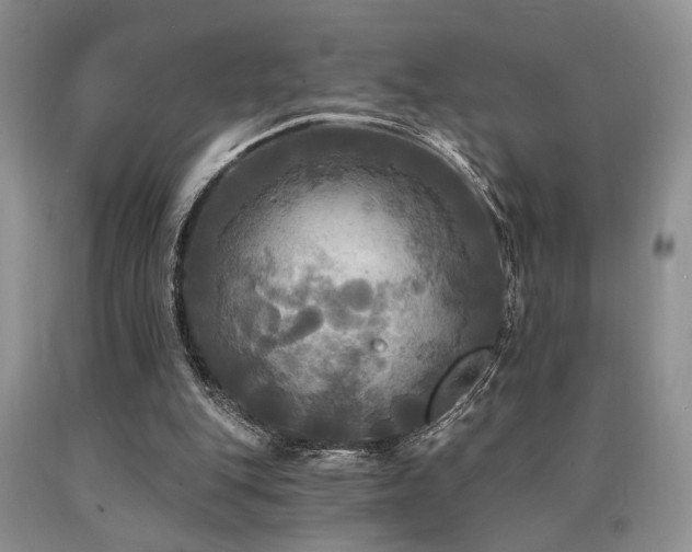 X0000090770151200707201446