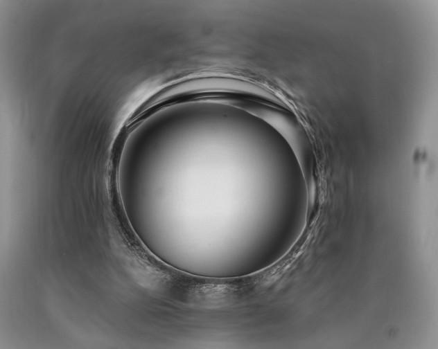 X0000090770152200707201446