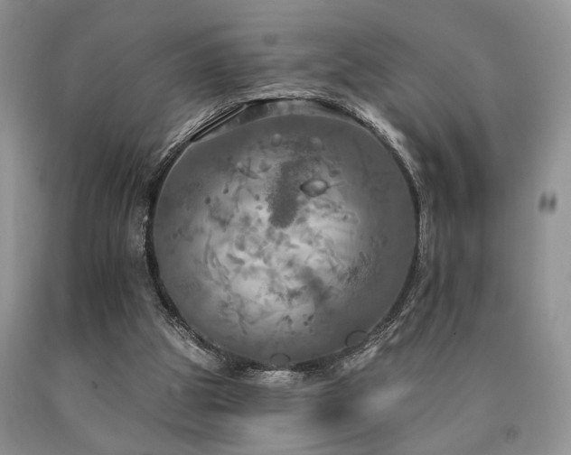 X0000090770153200707201446