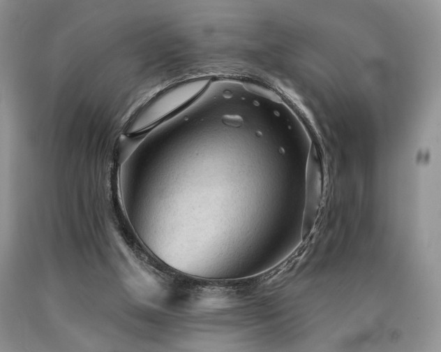 X0000090770154200707201446