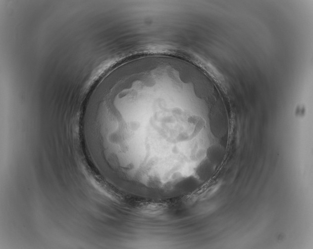 X0000090770155200707201446