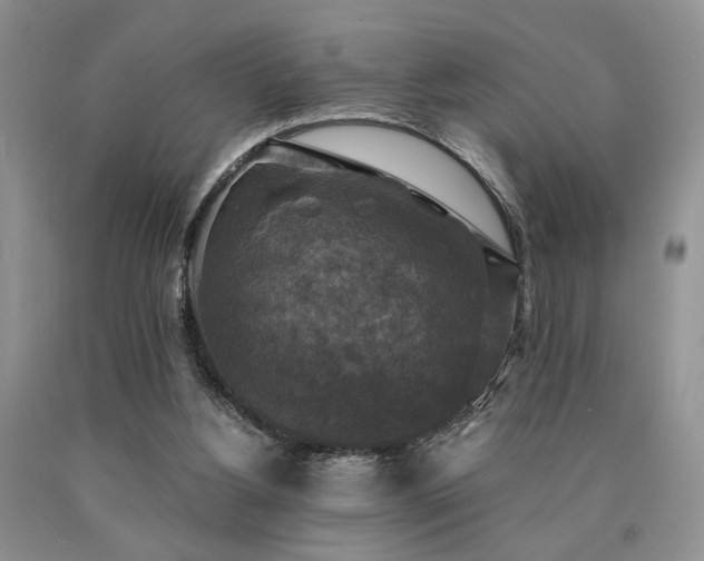 X0000090770156200707201446