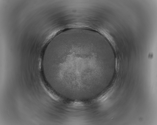 X0000090770157200707201446