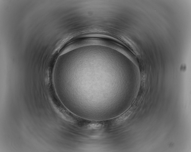 X0000090770158200707201446