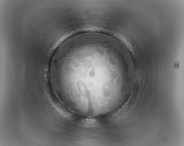 X0000090770159200707201446