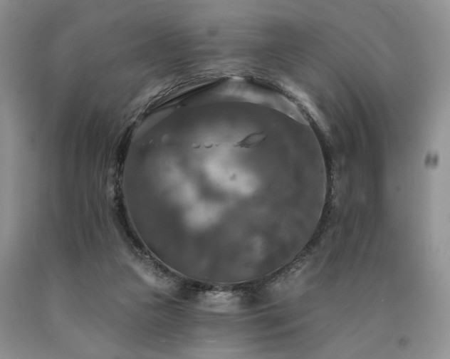 X0000090770161200707201446