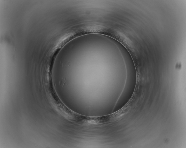 X0000090770163200707201446