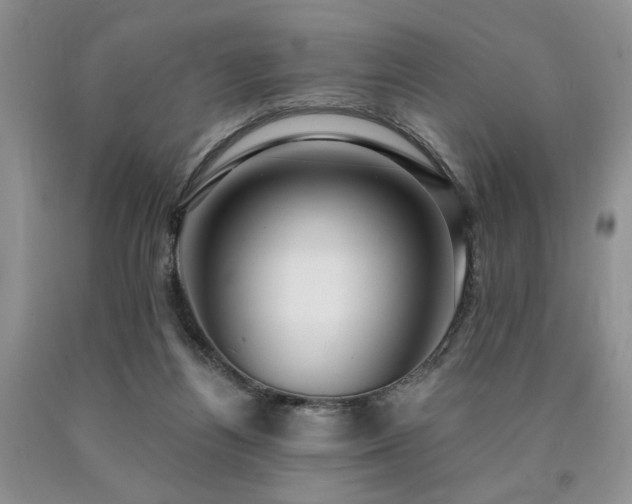 X0000090770164200707201446