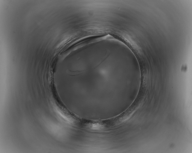 X0000090770165200707201446