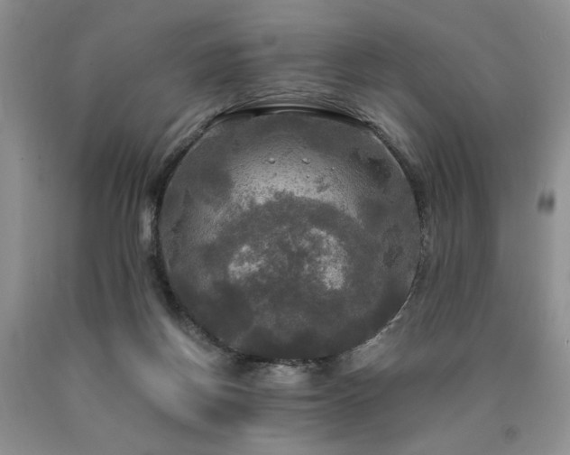 X0000090770166200707201446