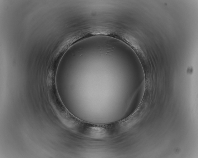 X0000090770167200707201446