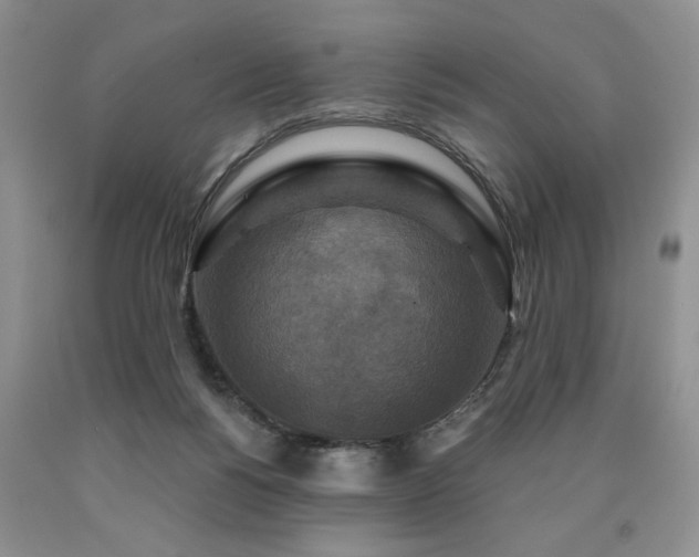 X0000090770168200707201446
