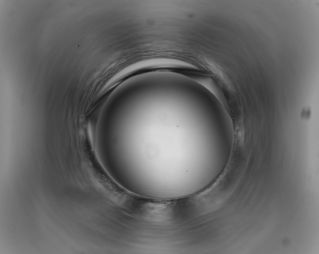 X0000090770170200707201446