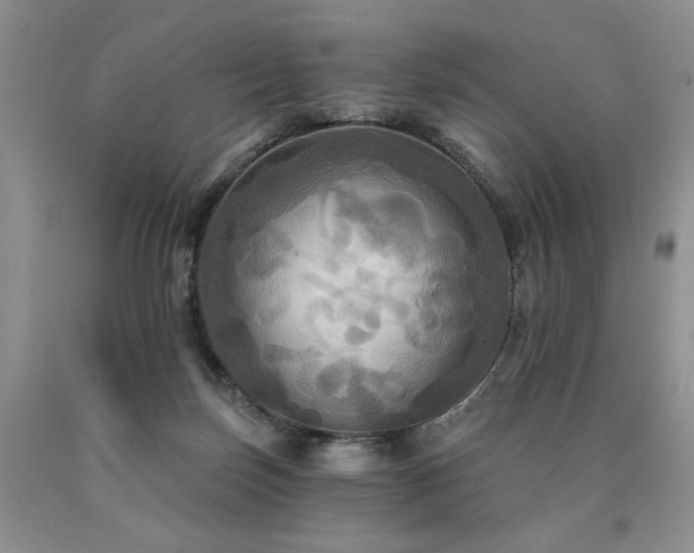 X0000090770171200707201446