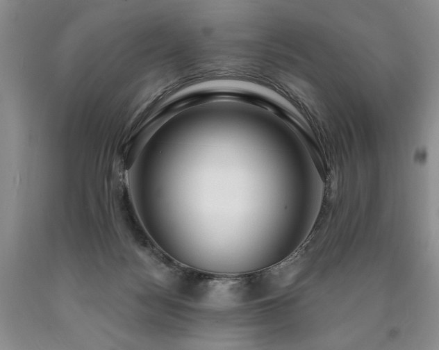 X0000090770172200707201446