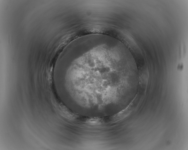 X0000090770175200707201446