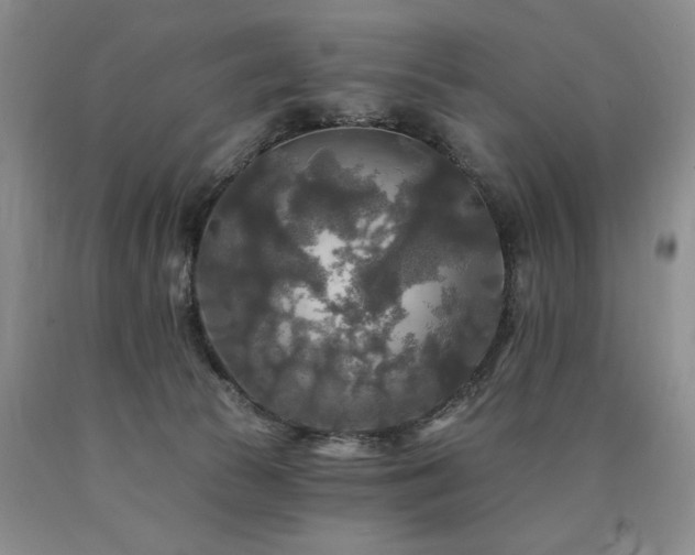 X0000090770177200707201446