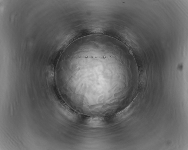 X0000090770179200707201446