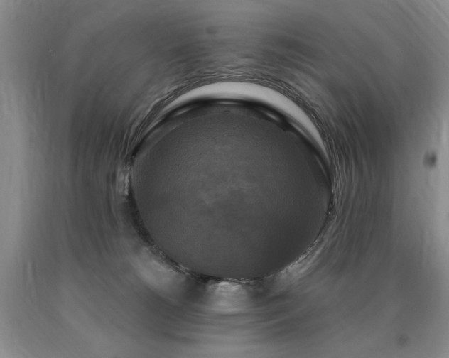 X0000090770180200707201446