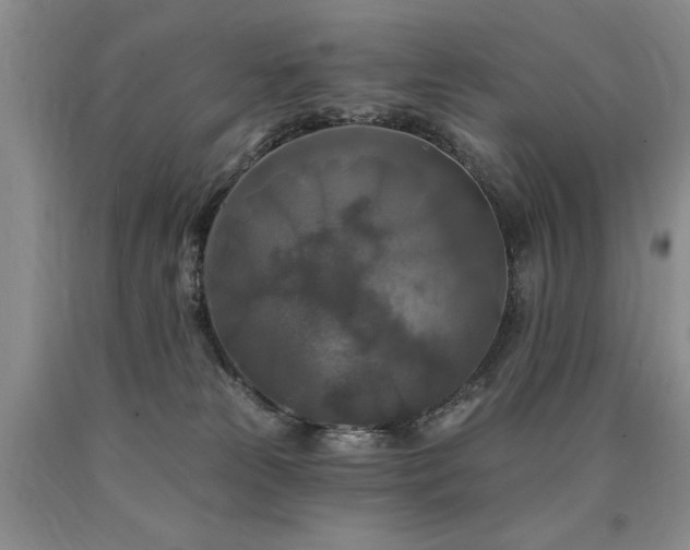 X0000090770181200707201446