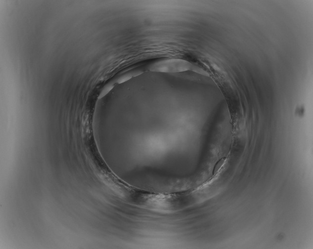 X0000090770182200707201446