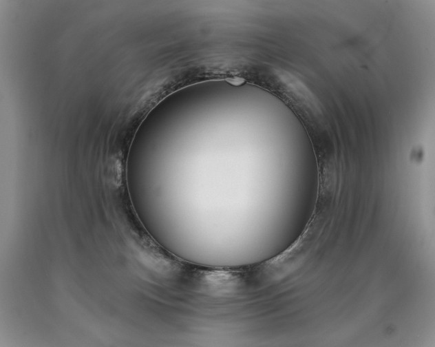 X0000090770183200707201446