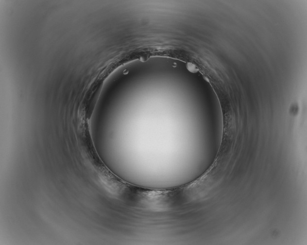 X0000090770184200707201446