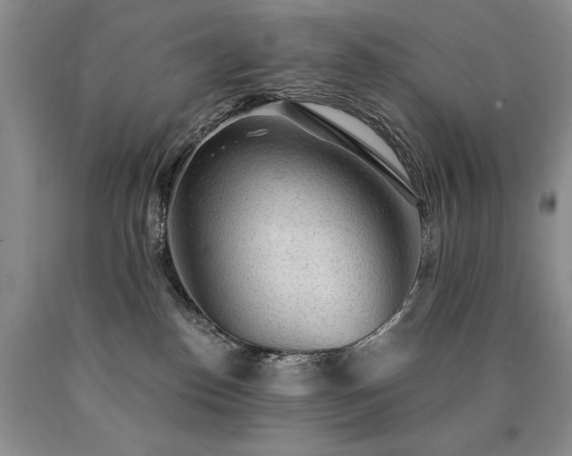 X0000090770186200707201446