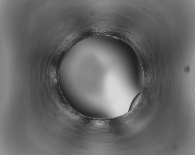 X0000090770187200707201446