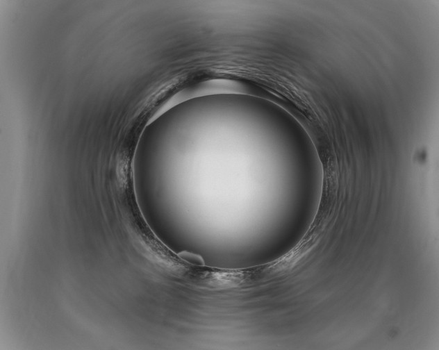 X0000090770188200707201446