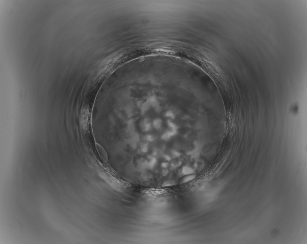 X0000090770189200707201446