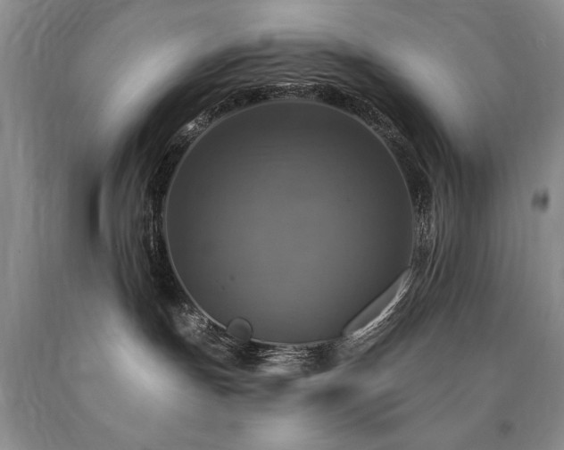 X0000090770191200707201446