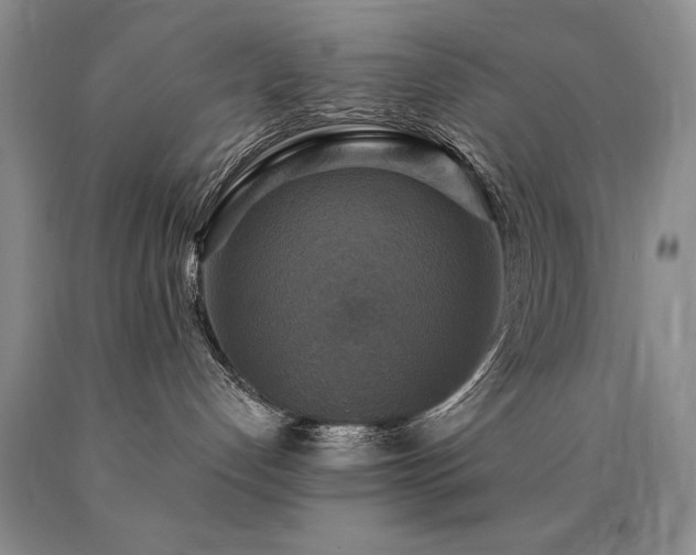 X0000090770192200707201446