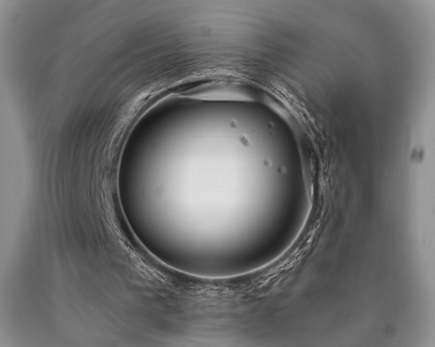 X0000090770193200707201446
