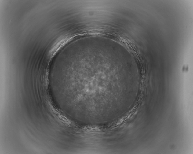 X0000090770194200707201446