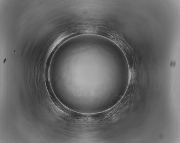 X0000090770195200707201446