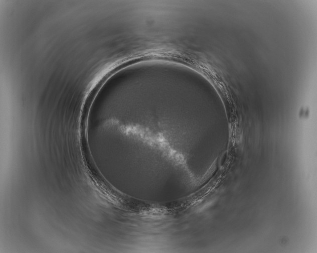 X0000090770196200707201446
