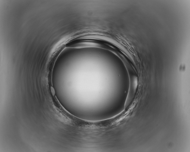 X0000090770197200707201446