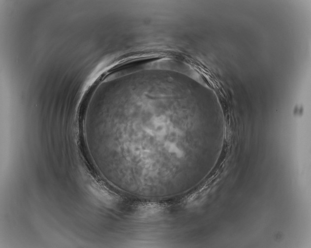 X0000090770198200707201446
