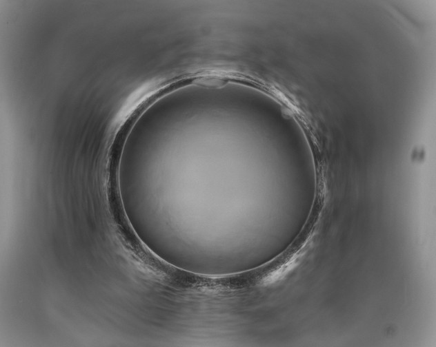 X0000090770199200707201446