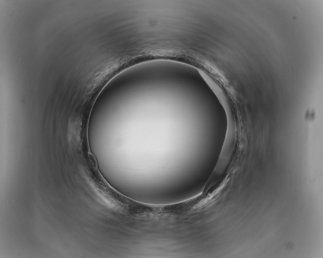 X0000090770201200707201446