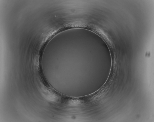X0000090770202200707201446